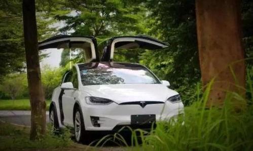 国产汽车危险视频下载,揭秘国产车安全性能挑战