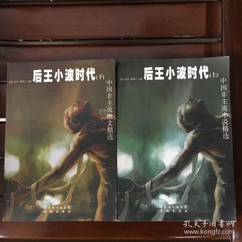 国产另类小说视频,穿越时空的奇幻之旅