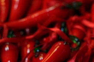 国产辣椒视频大全,国产辣椒视频大全精选集锦