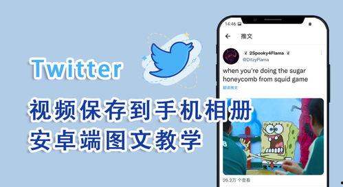 国产网站推特视频下载,轻松获取热门内容
