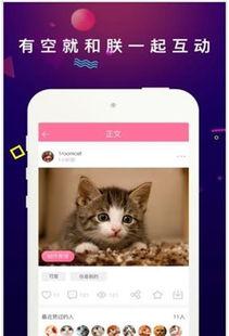 国产在线猫咪网站视频,萌宠视频盛宴，带你领略萌态百态