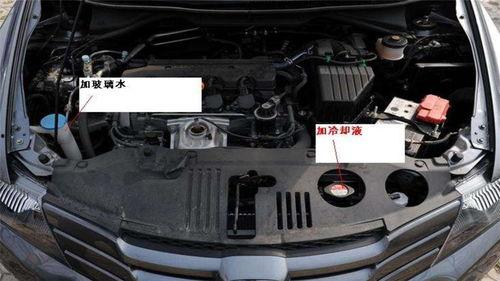 国产汽车怎么加水的视频,视频教学轻松掌握