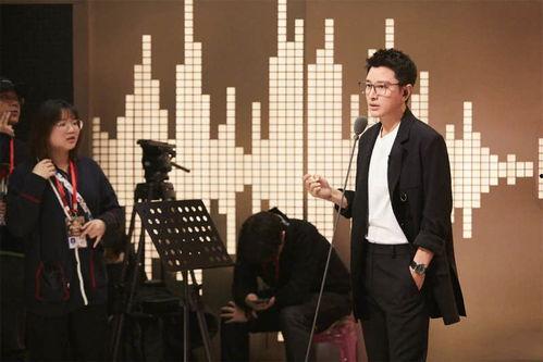 刘庸国产配音视频大全集,重温经典，感受声音的魅力