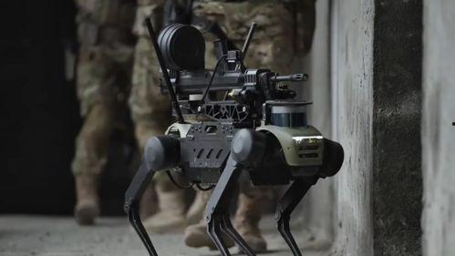 国产机器狗背步枪视频,智能军事装备引领未来战场