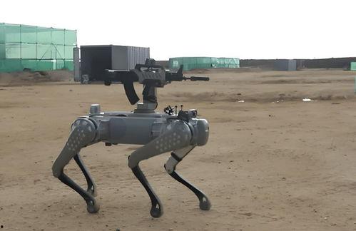 国产机器狗背步枪视频,智能军事装备引领未来战场
