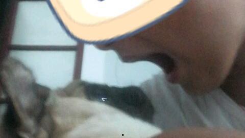 国产热狗的视频,街头美食新宠，带你领略地道风味