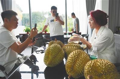 国产榴莲大量种植方法视频,高效种植方法全解析