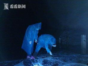 国产蝙蝠的视频