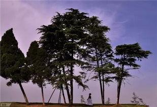 橾碰国产自柏视频,探索国产影视新境界