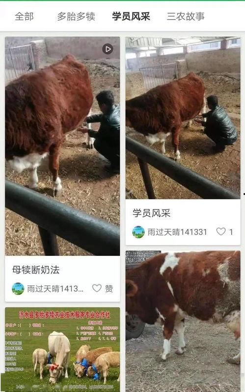 两性网 国产区牛牛视频,探寻两性网中的独特魅力